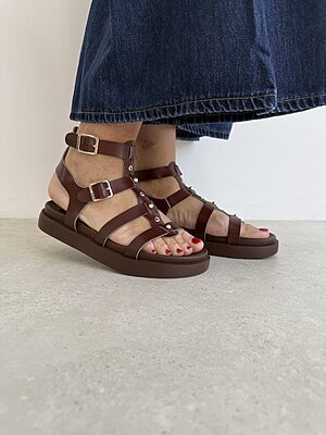 Gladiatore Ungheria Brown