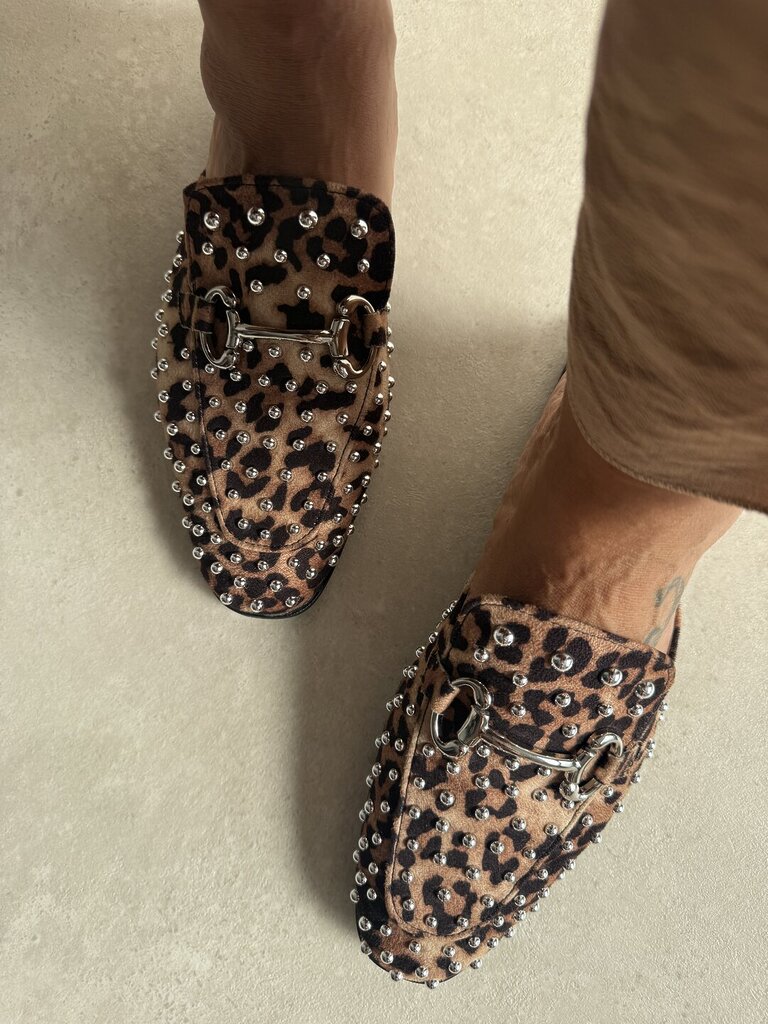 Colorado Leopard bulloni 