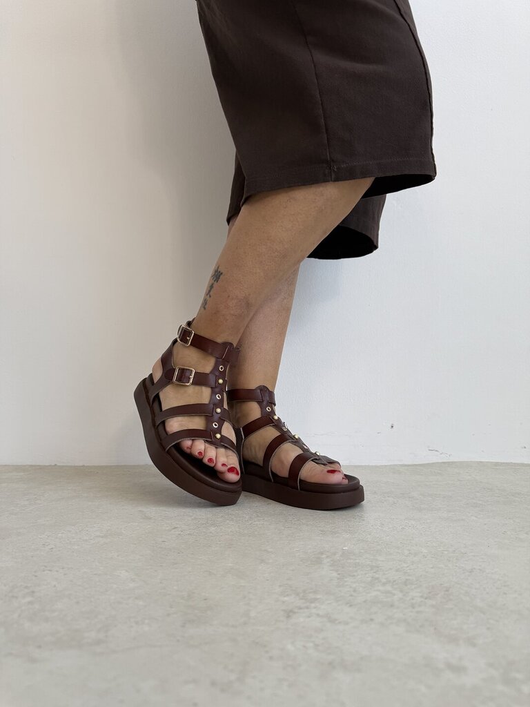 Gladiatore Ungheria Brown 