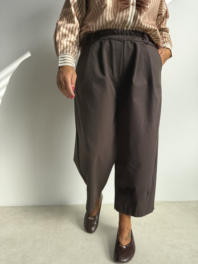 Pantalone Darwin - Marrone 