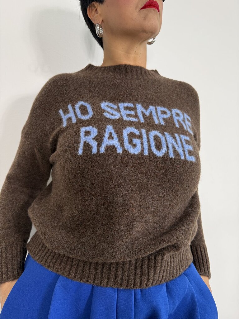 Pull HoSempreRagione - Marrone 