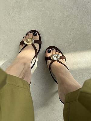 Tacco Slovacchia Brown